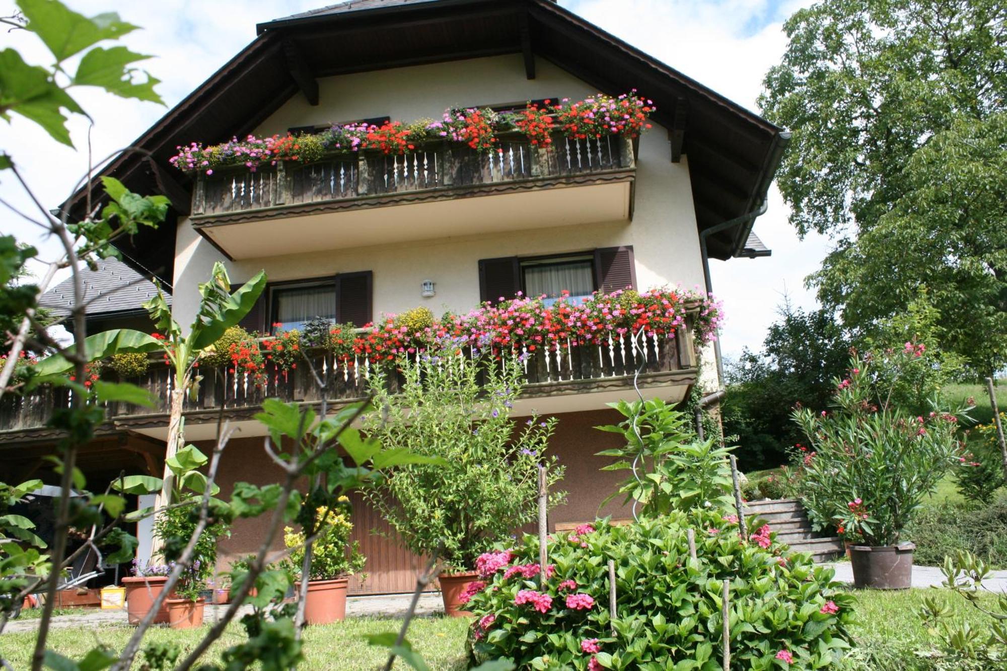 Gasthaus - Gaestehaus Schusterbauer Rein Екстериор снимка